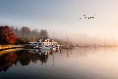 misty sunrise at stanley park