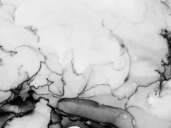 smoky alcohol ink painting. chinese ink painting. silver color stone marble texture. mixing paints image. black, gray ink floral design. hand drawn trendy design.
