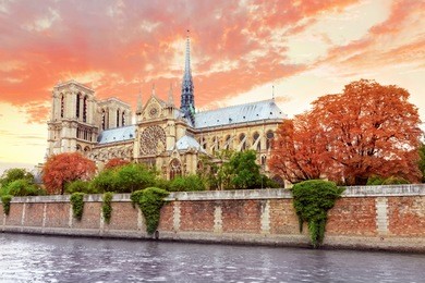 notre dame de paris cathedral.paris. france