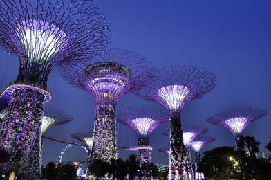 gardens by the bay - supertree grove in singapore. spanning 101 hectares, and five-minute walk from bayfront mrt station.