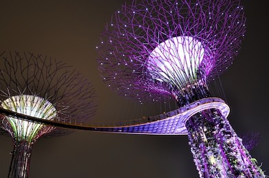 gardens by the bay - supertree grove in singapore. spanning 101 hectares, and five-minute walk from bayfront mrt station.