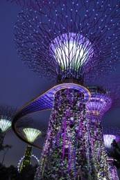 gardens by the bay - supertree grove in singapore. spanning 101 hectares, and five-minute walk from bayfront mrt station.