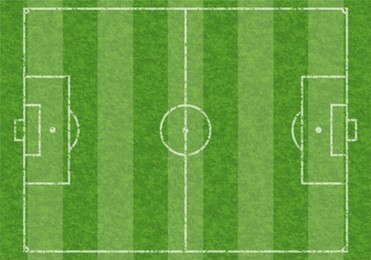 textured soccer field with marking, vector illustration