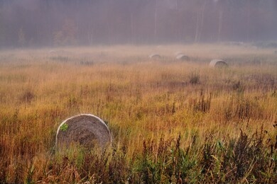 this is the autumn landscape at biei town in hokkaido prefecture, japan.