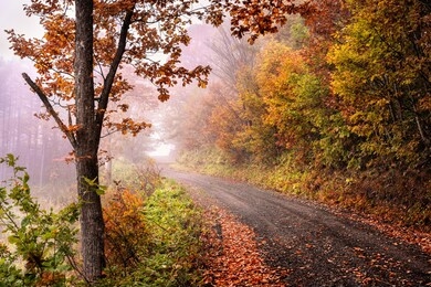 this is the autumn landscape at biei town in hokkaido prefecture, japan.