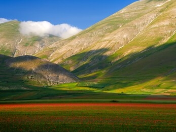 umbria, italy, cultivated and flowery fields of pian piccolo near castellucio di norcia; colorful aerial view of the flowers fields with spots of light