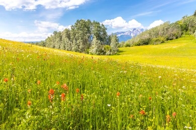 lush meadow with indian paintbrush flowers, trees and snow covered mountains in the back.
