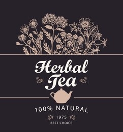 vector banner or label for a herbal tea with hand-drawn herbs, calligraphic inscription and teapot in retro style on black background.