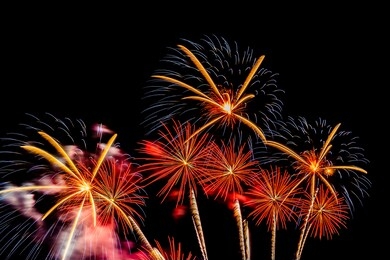 beautiful colorful firework display at night for celebrate in anniversary