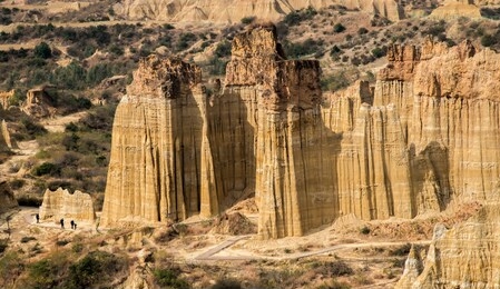 yuanmou soil forest is located in chuxiong city, yunnan province, china