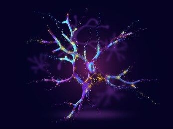 colorful neuron, nerve cell. 3d render / rendering