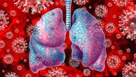 respiratory virus and coronavirus outbreak and coronaviruses influenza background as dangerous flu strain cases  or sars as a medical health risk concept with infected human lungs as a 3d render.