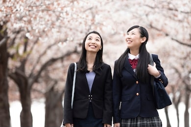 parent and child walking under a row of cherry trees