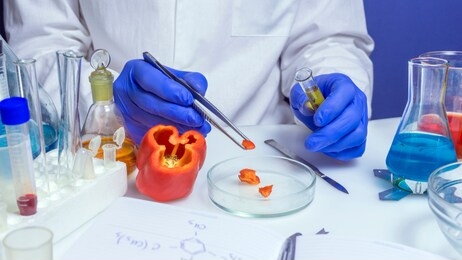 quality control food safety inspector working in a laboratory