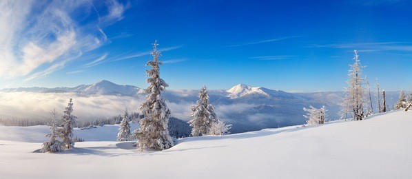 landscape panorama of a frosty day in the mountains. ukraine, carpathian mountains, view of the mountain range chornohora