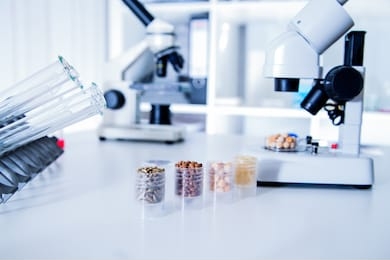 chemical laboratory of the food supply . food in laboratory, dna modify .gmo genetically modified food in lab 