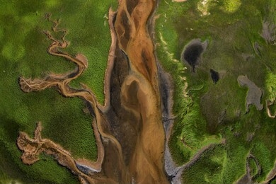 aerial photography of cape cod`s awesome marshlands and pure wilderness. the picture shows green environment and an infinite diversity of the nature.