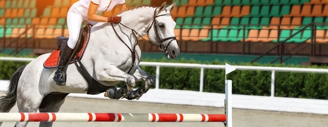 girl jumping with white horse, isolated, tribune as a background. rider in white uniform, equestrian sports. horizontal header or banner. ambition, breaking through, free, health concept.