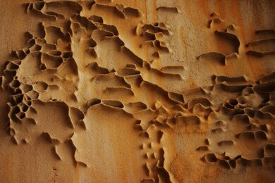 naturally carved geological sedimentary rock at sea shore