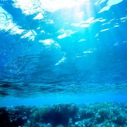 abstract underwater scenery sunrays going through water surface in deep blue sea 
