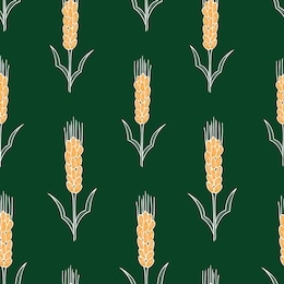 seamless pattern of ripe ears of wheat