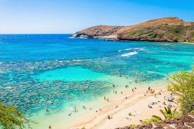 snorkeling paradise hanauma bay, oahu, hawaii