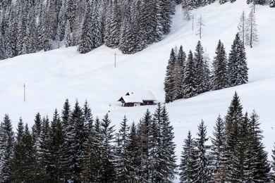 lonely hut in the woods in a winter wonderland, filzmoos austria
