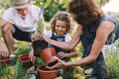 senior grandparents and granddaughter gardening in the backyard garden.