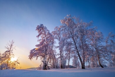 sunset in the winter forest. trees covered with hoarfrost and snow. beautiful landscape. the nature of russia, siberia