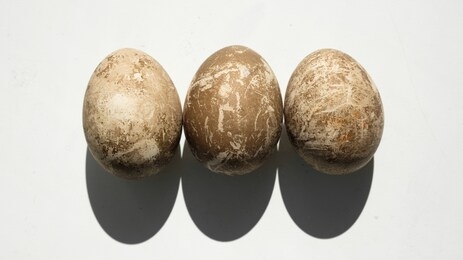 naturally dyed eggs prepared for easter on white background. happy easter card. background with easter eggs.