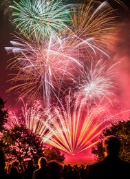 fireworks display with spectators in foreground