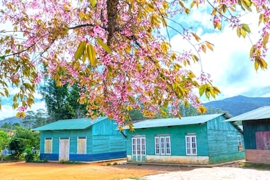 beautifully decorated small houses in the suburbs with foreground apricot cherry tree blossom in the spring morning is beautiful and peaceful