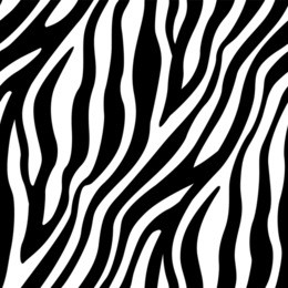 zebra stripes seamless pattern