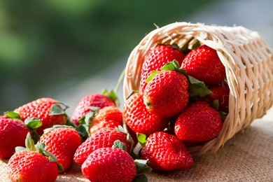 strawberries in natural background