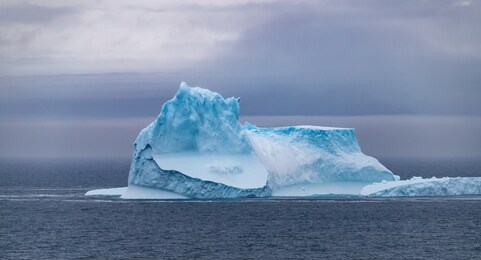 icebergs floating in the antarctic after calving off the numerous glaciers in the area.