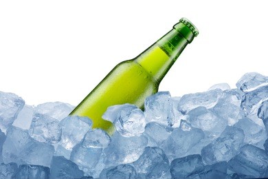 beer bottle on ice cube