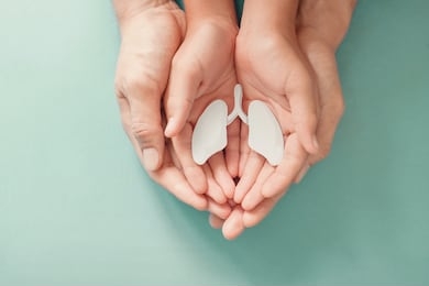 adult and child hands holding lung, world tuberculosis day, world no tobacco day, corona covid-19 virus, eco air pollution; organ donation concept