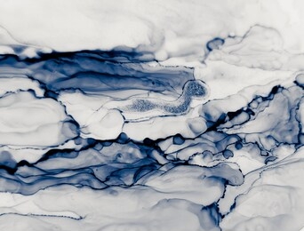 water alcohol ink design. chinese ink painting. dim colors stone marble texture. cool blue ceramic  background. alcohol ink texture. blue, gray liquid artistic painting.