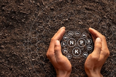 men's hands are surrounded by rich soil with all the elements needed to grow, while digital icons represent the elements.