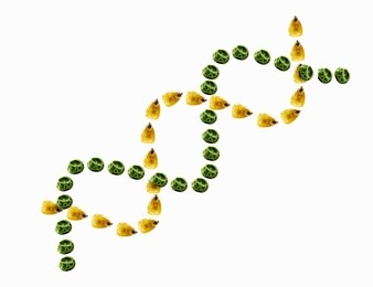 a double helix, intertwined spiral of small yellow corn maize kernels and dried peas, symbolising genetic engineering and research and food production.