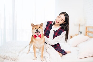 pet lover concept. an asian woman is resting with a shiba inu dog on bed in bed room. shiba inu is a japanese dog that is famous throughout the world. selective focus.