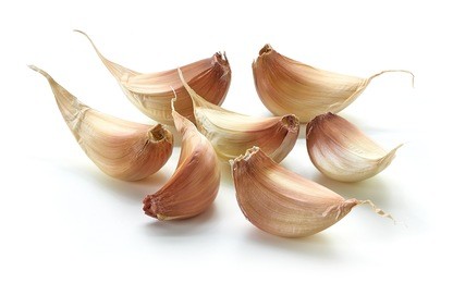 garlic cloves on white background
