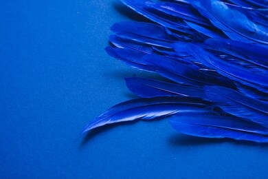blue neon bird feathers on blue background. abstract trendy texture background. copy space horizontal frame.