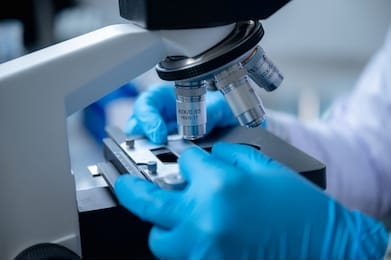 closeup of scientific microscope data analysis in the laboratory