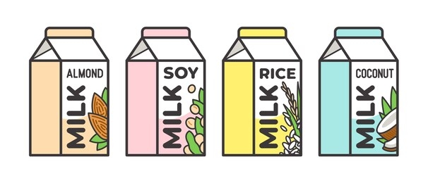 set of different vegetable milk - almond, rice, coconut, soybeans. vegan, vegetarian product for cooking food and drink. 