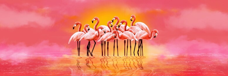 panorama of pink flamingos on a bright pink background and sunset. digital art illustration.