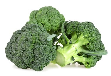 delicious fresh broccoli isolated on a white background