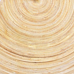 abstract background is wood timber natural texture