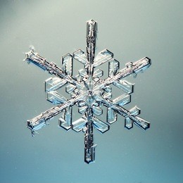macro snowflake ice crystals present natural