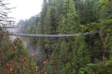 capilano suspension bridge near vancouver in canada